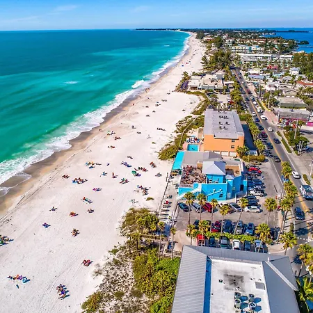 Anna Maria Island Beach Palms 8B